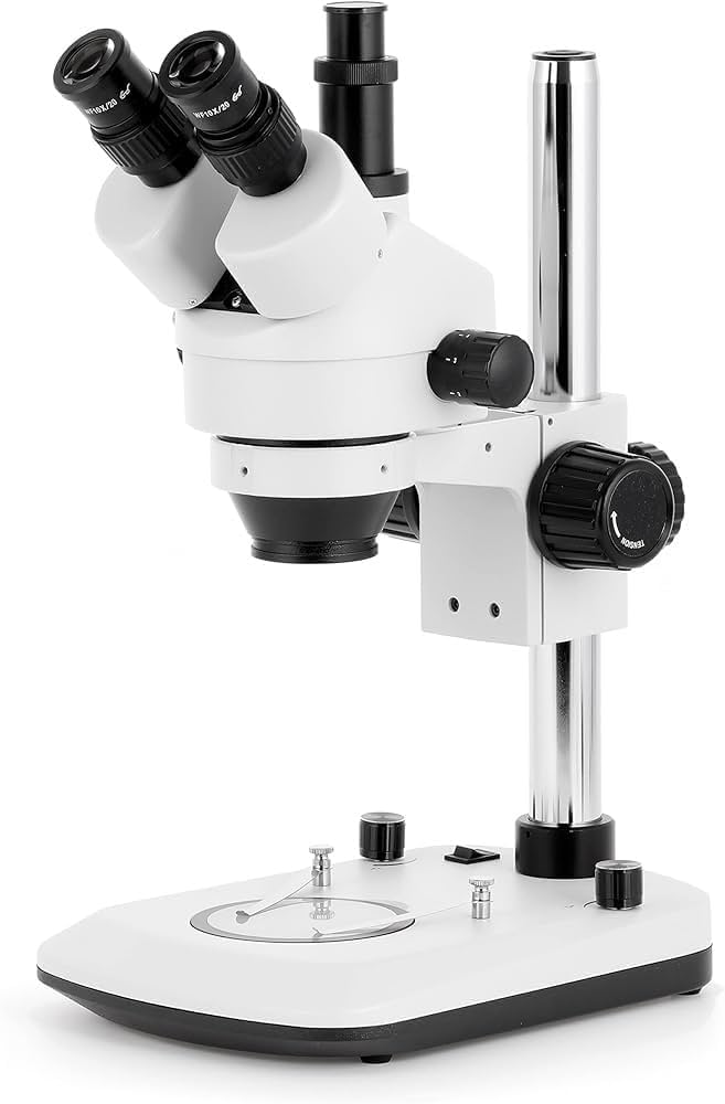 Stereo Microscope
